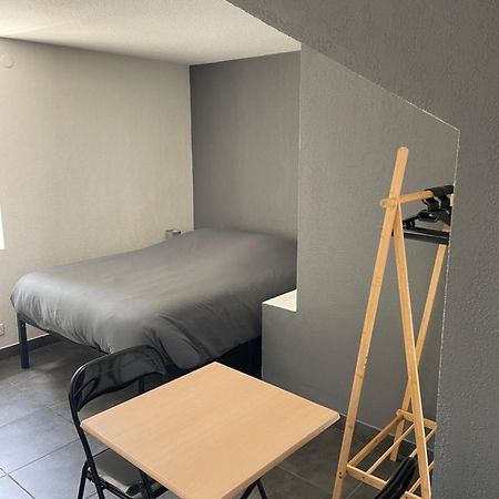 Studio 3 Proche Fac Climatise Albi Buitenkant foto