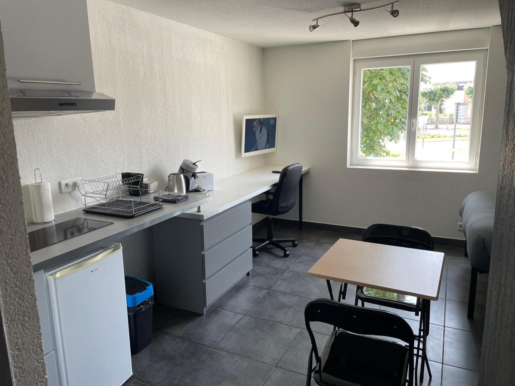Studio 3 Proche Fac Climatise Albi Buitenkant foto